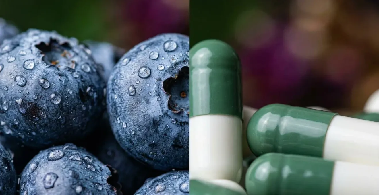 Comparaison macro entre myrtilles fraîches et gélules de compléments alimentaires
